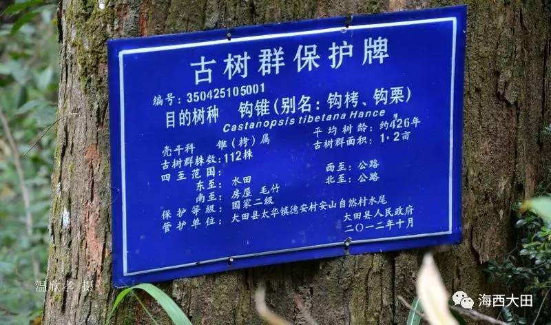 板栗，这种营养丰富的坚果，在我国已有几千年的栽培历史。你是否知道如何选购和烹饪出美味的板栗呢？本文将从行业角度分析板栗市场，并结合实际案例分享一些实用技巧。